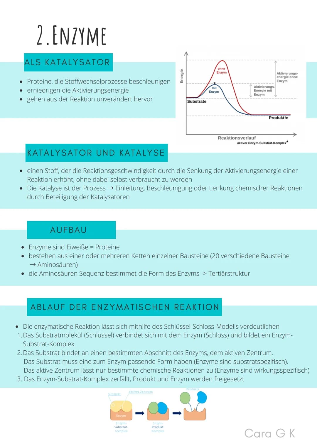 BIO-ABITUR
Zusammenfassung aller Themen
Cara G. K.
es
DA
CO2
02 INHALTSVERZEICHNIS
1. GRUNDWISSEN
• Mitochondrium
• Zellkern (Nucleus)
Chlor