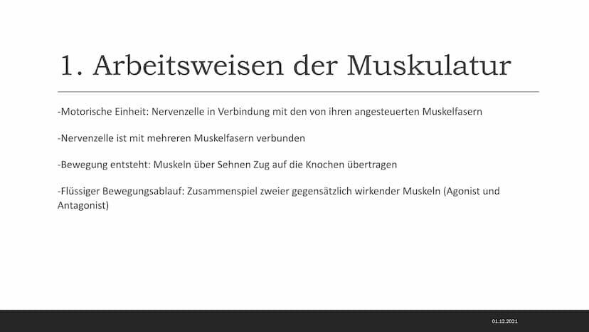 MUSKELSYSTEM DES MENSCHEN
Kraft-
Biologische
Grundlagen 1. Arbeitsweisen der Muskulatur
-Motorische Einheit: Nervenzelle in Verbindung mit d