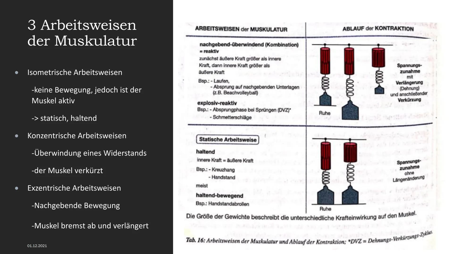 MUSKELSYSTEM DES MENSCHEN
Kraft-
Biologische
Grundlagen 1. Arbeitsweisen der Muskulatur
-Motorische Einheit: Nervenzelle in Verbindung mit d