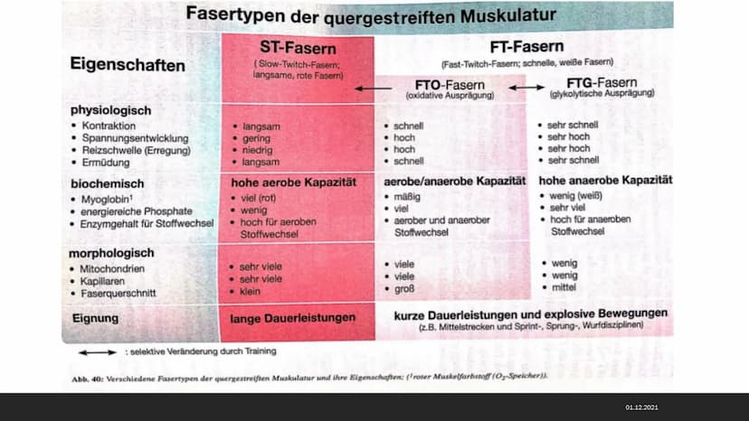 MUSKELSYSTEM DES MENSCHEN
Kraft-
Biologische
Grundlagen 1. Arbeitsweisen der Muskulatur
-Motorische Einheit: Nervenzelle in Verbindung mit d