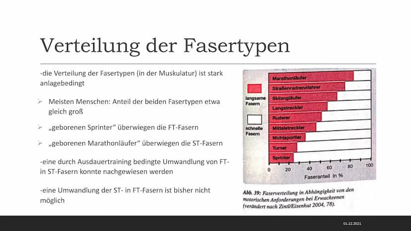 MUSKELSYSTEM DES MENSCHEN
Kraft-
Biologische
Grundlagen 1. Arbeitsweisen der Muskulatur
-Motorische Einheit: Nervenzelle in Verbindung mit d