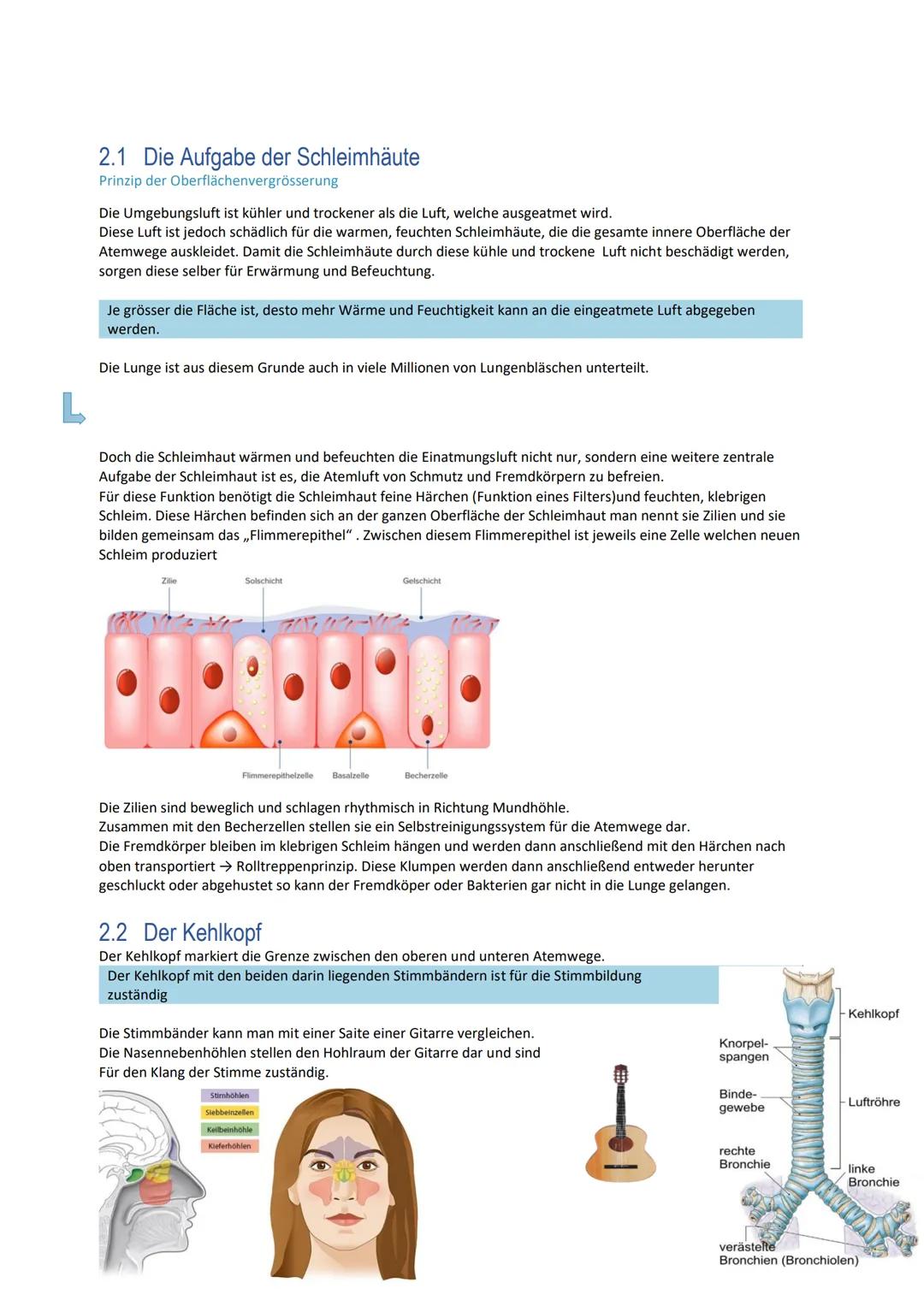 # B.4

Atmung

Alisha Schäfli # 1 Inhaltsverzeichnis

1Inhaltsverzeichnis ..................................................................