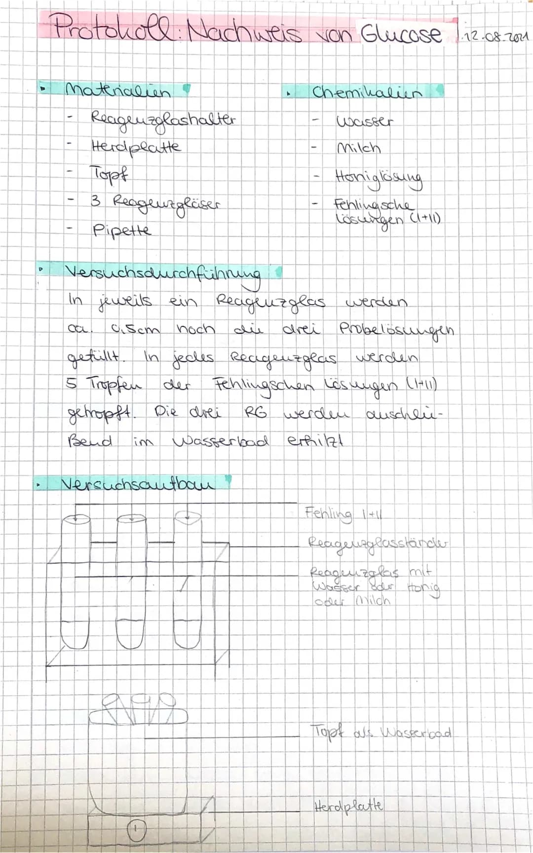 Protokoll zum Nachweis von Glucose mit Fehlingscher Lösung