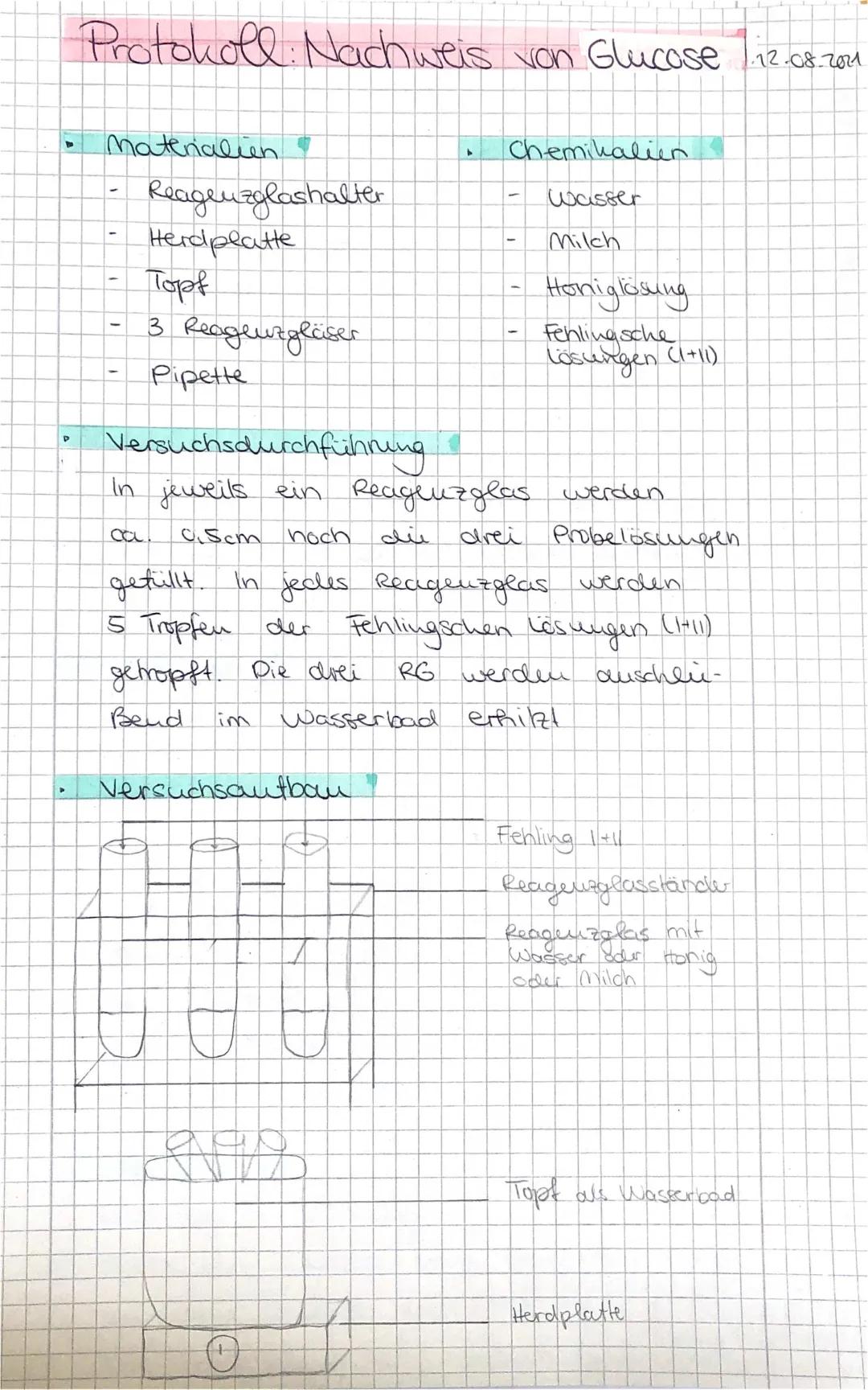 Glucose Nachweis Protokoll: Fehling-Test und Experiment für die Grundschule