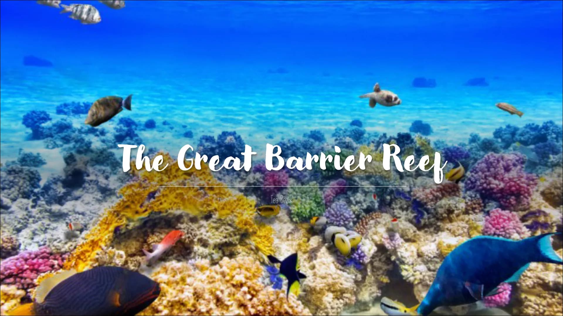 GREAT BARRIER REEF
Hi everyone, and welcome to my presentation about the Great Barrier Reef.
My presentation is divided into 7 parts and at 