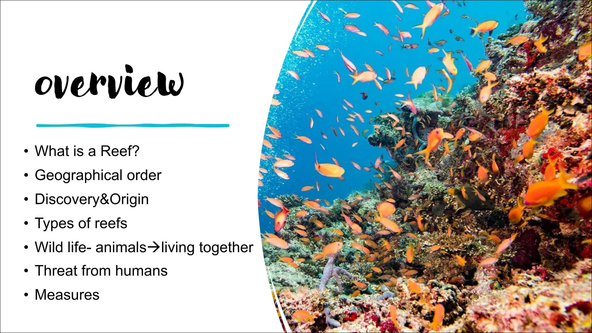 GREAT BARRIER REEF
Hi everyone, and welcome to my presentation about the Great Barrier Reef.
My presentation is divided into 7 parts and at 
