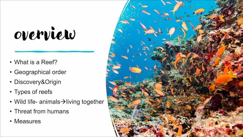 GREAT BARRIER REEF
Hi everyone, and welcome to my presentation about the Great Barrier Reef.
My presentation is divided into 7 parts and at 