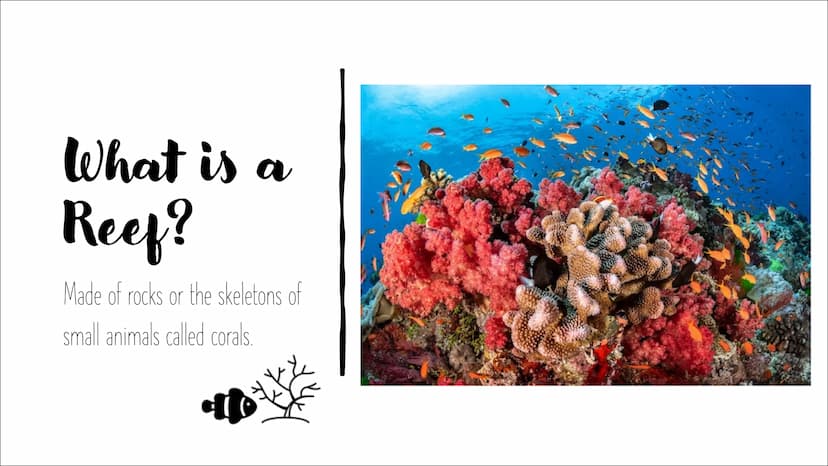 GREAT BARRIER REEF
Hi everyone, and welcome to my presentation about the Great Barrier Reef.
My presentation is divided into 7 parts and at 