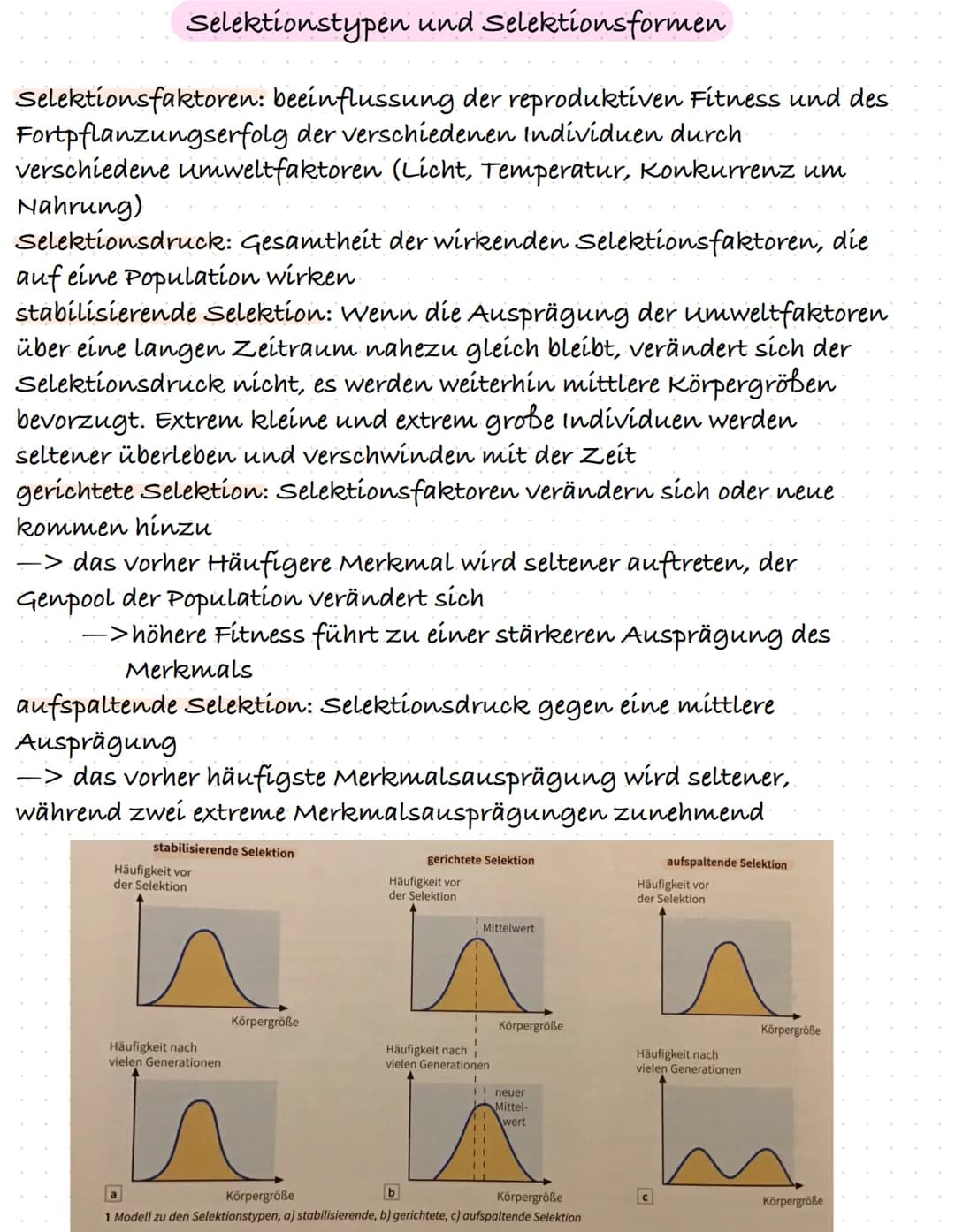 Die Evolutionstheorien von Lamarck und Darwin
Jean-Baptiste La-Marck: 1744-1829
Charles Darwin: 1809-1882
Lamarck: Absichtliche Anpassung vo