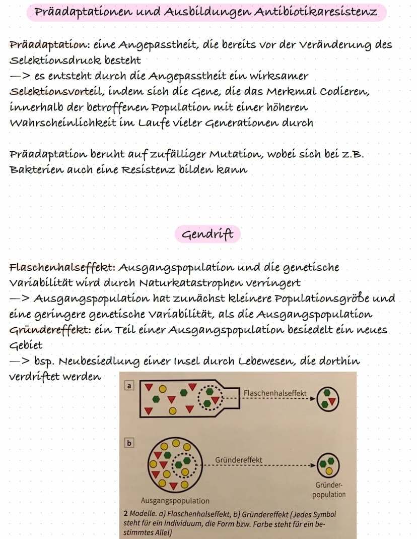 Die Evolutionstheorien von Lamarck und Darwin
Jean-Baptiste La-Marck: 1744-1829
Charles Darwin: 1809-1882
Lamarck: Absichtliche Anpassung vo