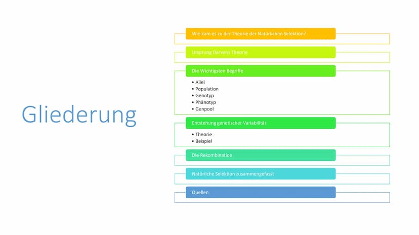Natürliche Selektion
Von Maurus Kurzmeier Gliederung
Wie kam es zu der Theorie der Natürlichen Selektion?
Ursprung Darwins Theorie
Die Wicht