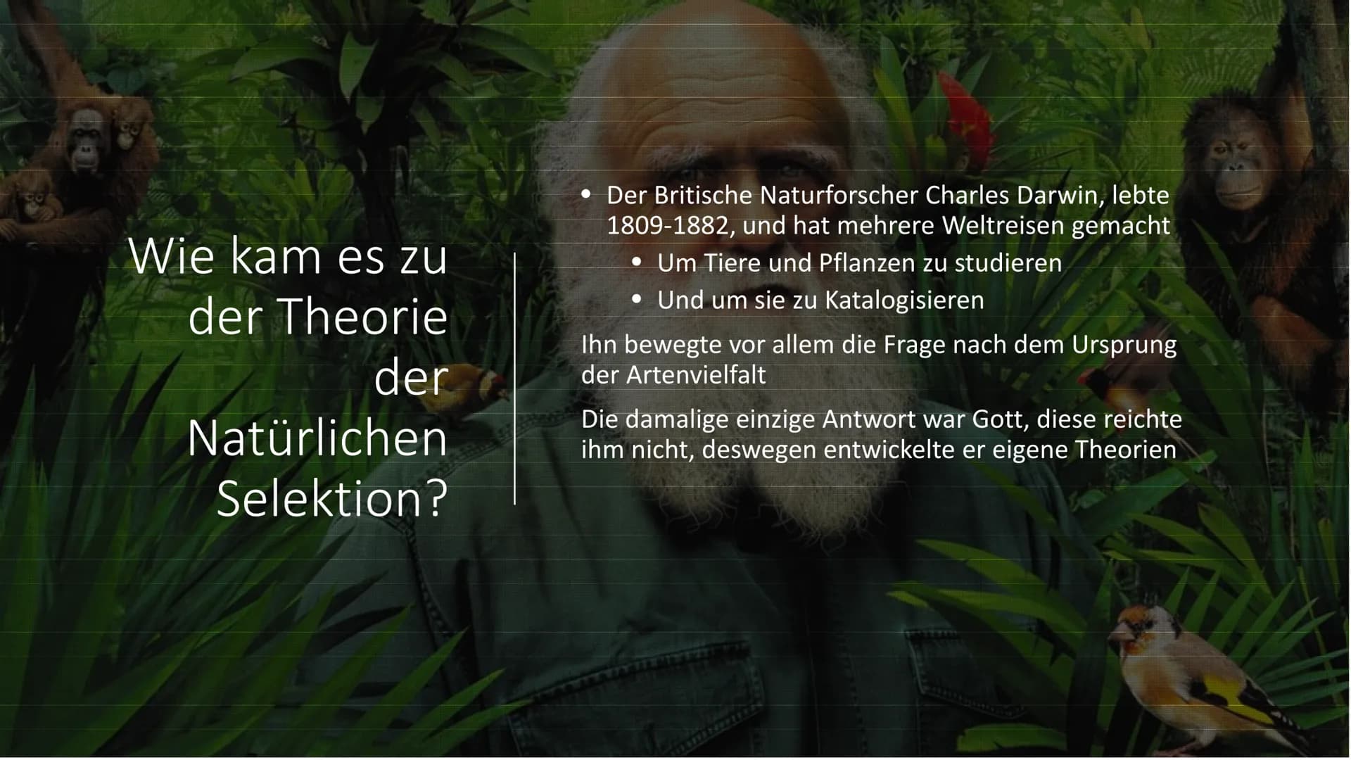 Natürliche Selektion
Von Maurus Kurzmeier Gliederung
Wie kam es zu der Theorie der Natürlichen Selektion?
Ursprung Darwins Theorie
Die Wicht