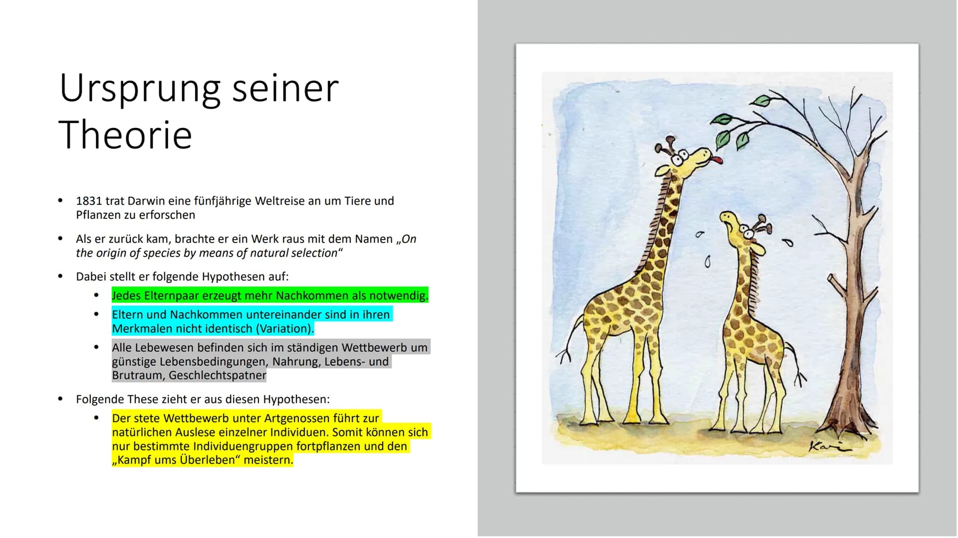 Natürliche Selektion
Von Maurus Kurzmeier Gliederung
Wie kam es zu der Theorie der Natürlichen Selektion?
Ursprung Darwins Theorie
Die Wicht