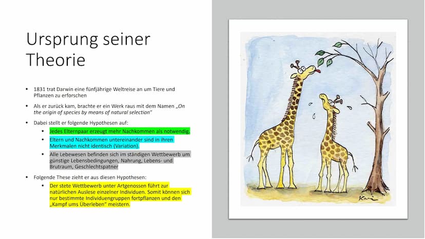 Natürliche Selektion
Von Maurus Kurzmeier Gliederung
Wie kam es zu der Theorie der Natürlichen Selektion?
Ursprung Darwins Theorie
Die Wicht