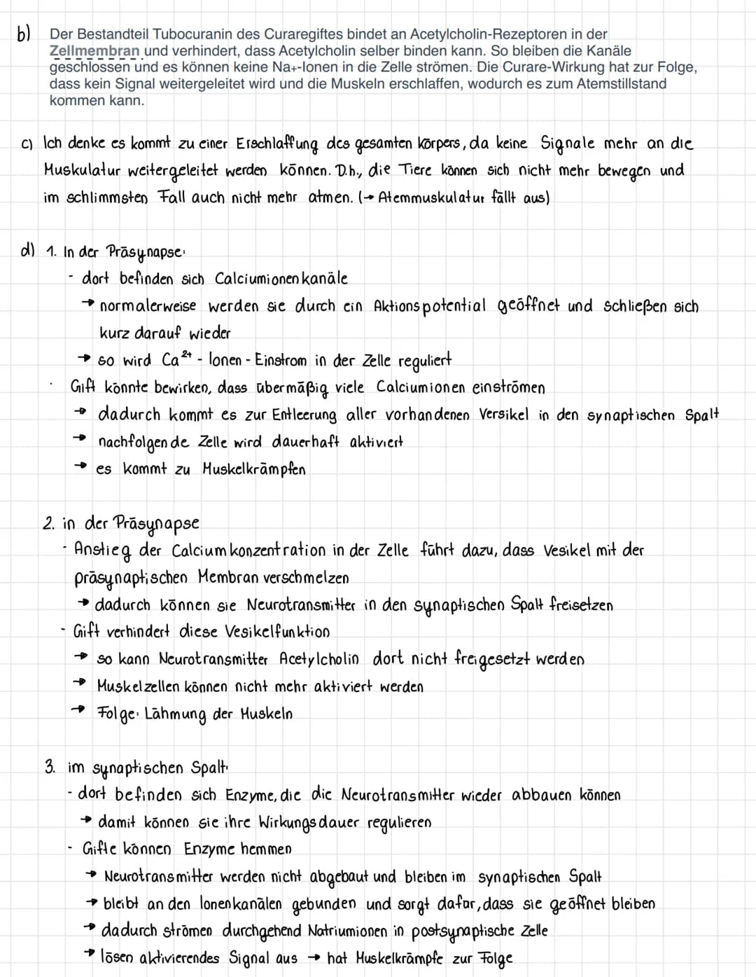 Nervenzelle und
Nervensystem I
KL. 7-10 Arbeitsblatt 1
GIDA
Dendriten
GIDA
Zellkern
31
GIDA 2007
Nervenzelle und
Nervensystem I
KL. 7-10 Arb