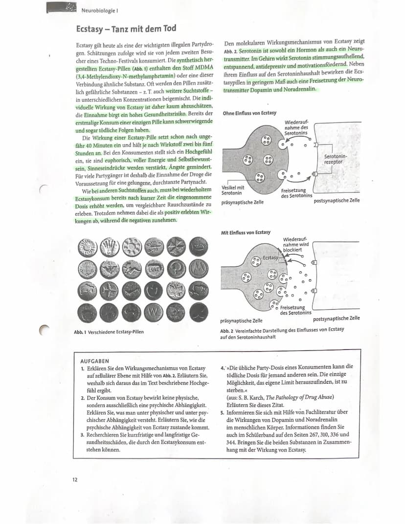 Nervenzelle und
Nervensystem I
KL. 7-10 Arbeitsblatt 1
GIDA
Dendriten
GIDA
Zellkern
31
GIDA 2007
Nervenzelle und
Nervensystem I
KL. 7-10 Arb