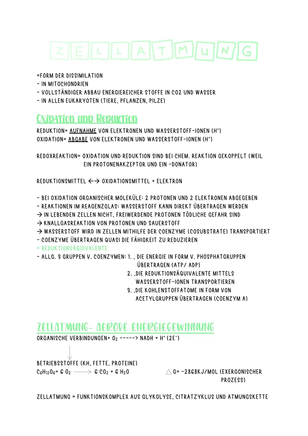 ZELLATMUNG
=FORM DER DISSIMILATION
- IN MITOCHONDRIEN
- VOLLSTÄNDIGER ABBAU ENERGIEREICHER STOFFE IN CO2 UND WASSER
- IN ALLEN EUKARYOTEN (T