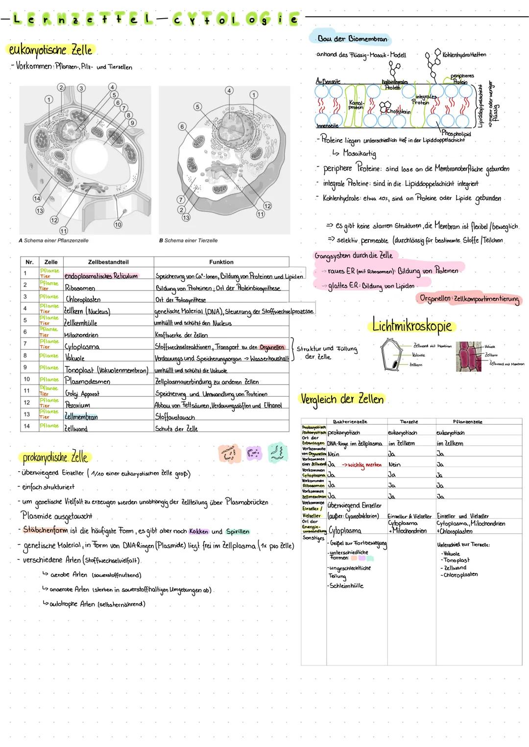 Cytologie (Lernzettel)