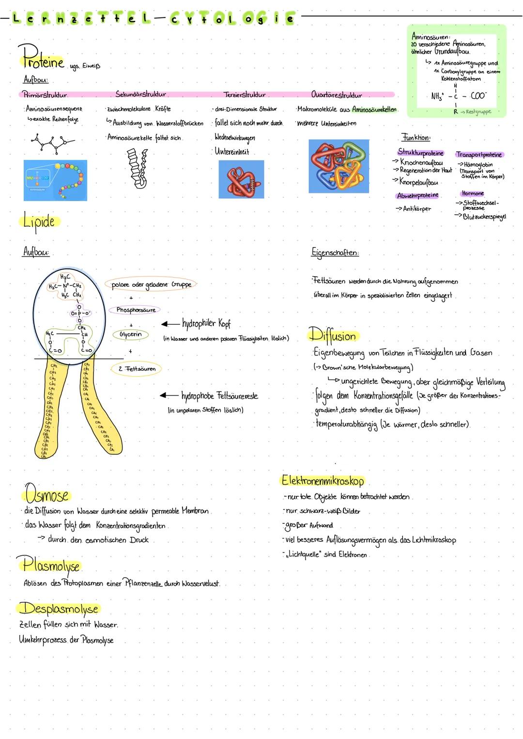 # -Lernaettel-cytologie

eukaryotische Zelle
-Vorkommen Pllonzen, Pilz- und Tierzellen

Bau der Biomembran
anhand des Flüssig-Mosaik-Modell
