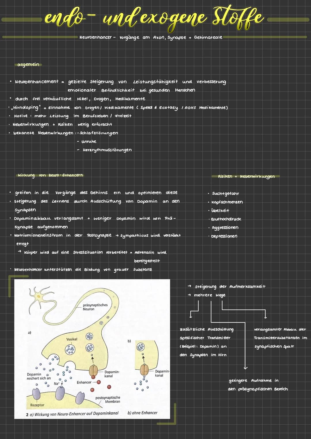 allgemein
• Neuroenhancement =
.
endo- und exogene Stoffe
Neuroenhancer - Vorgänge am Axon, Synapse + Gehirnareale
durch frei verkäufliche M