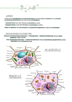 Know Zellorganellen thumbnail