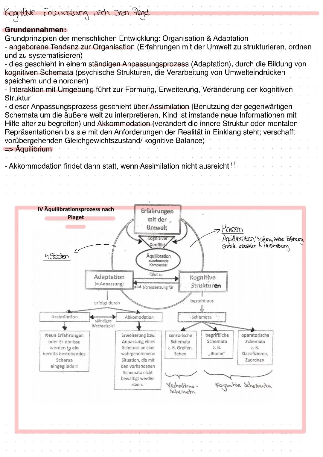 Kognitive Entwicklung nach Jean Piaget