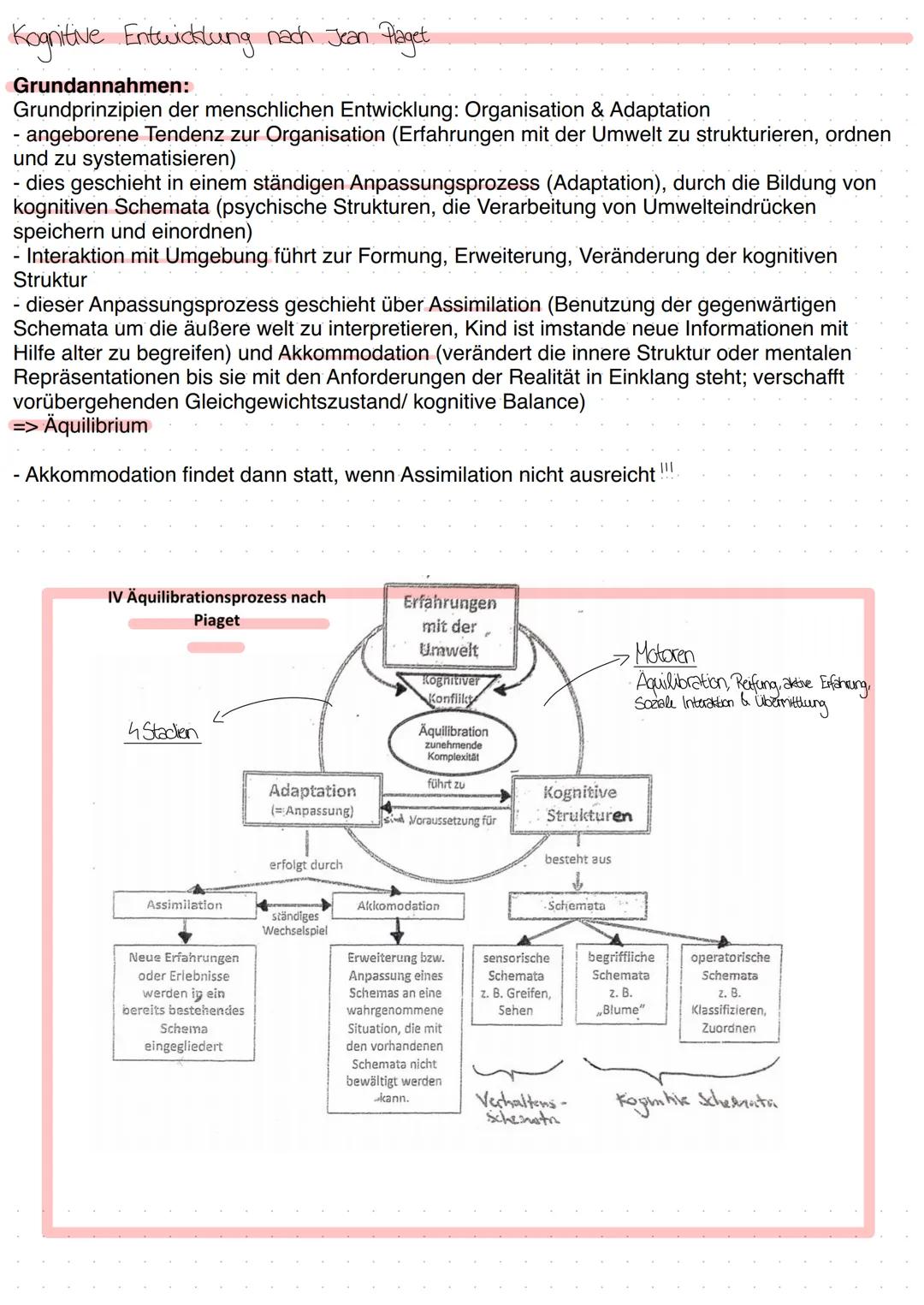 Kognitive Entwicklung nach Jean Flaget.
Grundannahmen:
Grundprinzipien der menschlichen Entwicklung: Organisation & Adaptation
- angeborene 
