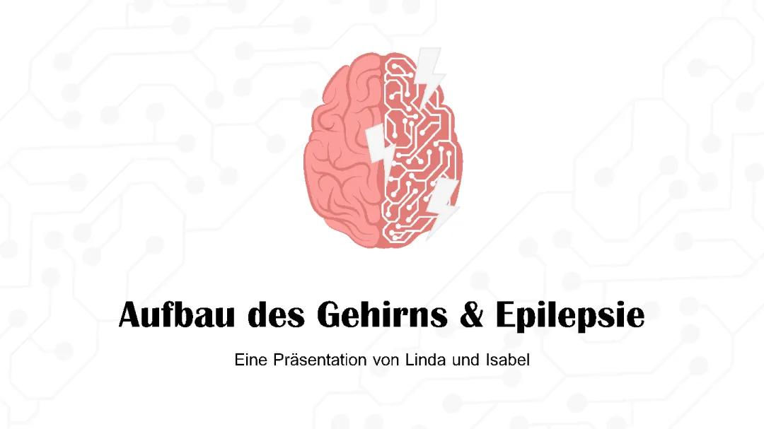 Das Gehirn und Epilepsie 