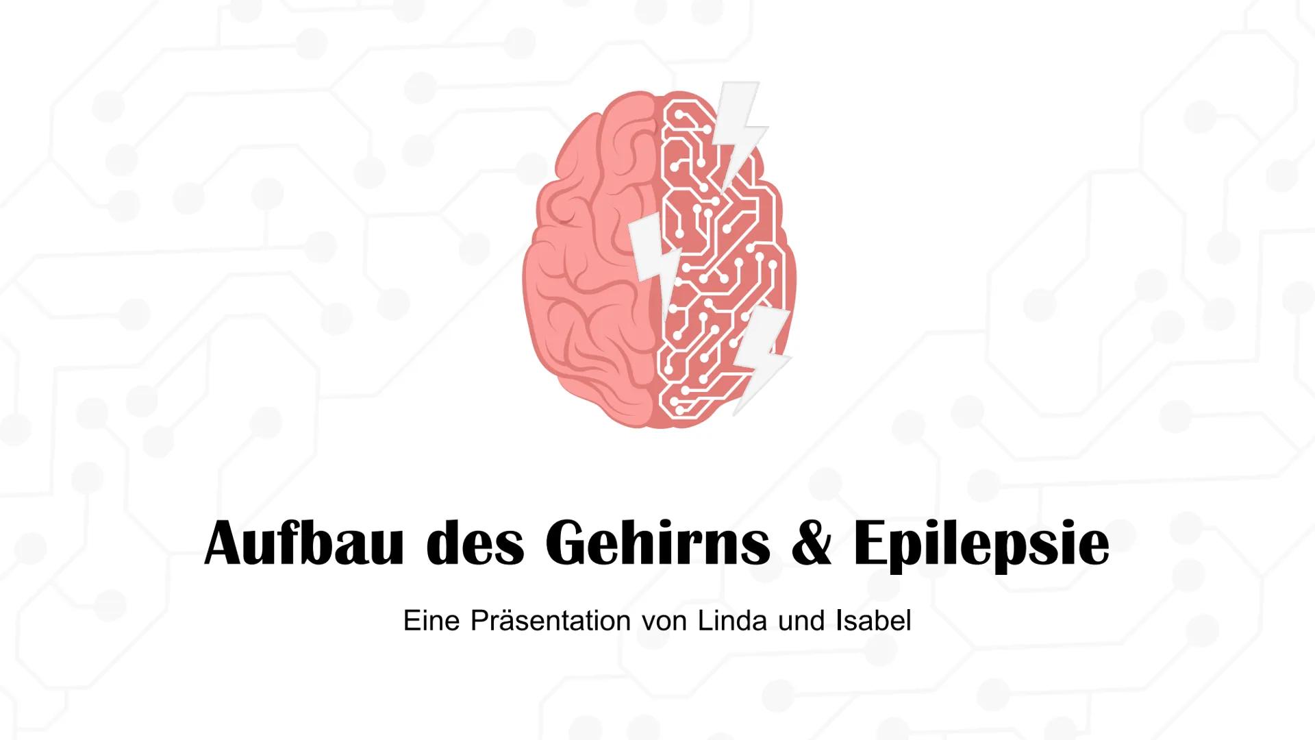Aufbau des Gehirns & Epilepsie
Eine Präsentation von Linda und Isabel Was kommt in unserer PowerPoint vor?
Aufbau des Gehirns
888
Die Lappen