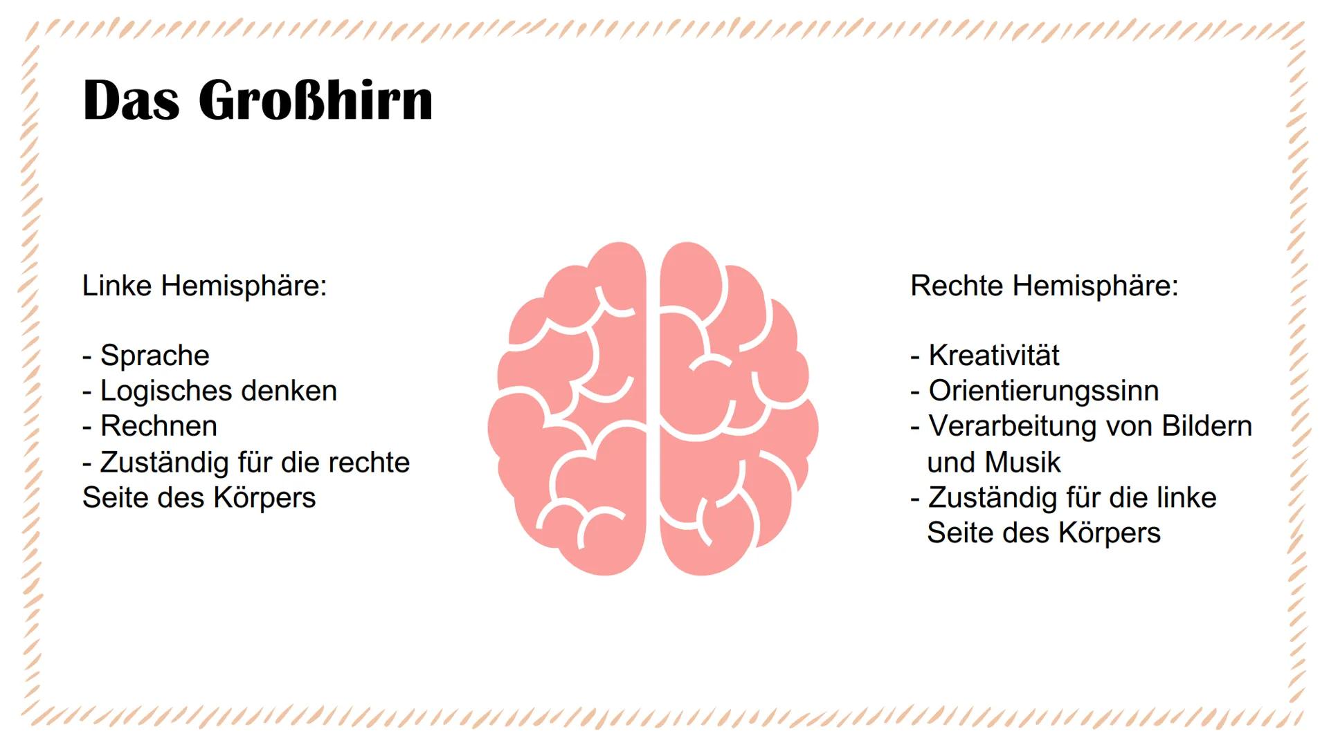 Aufbau des Gehirns & Epilepsie
Eine Präsentation von Linda und Isabel Was kommt in unserer PowerPoint vor?
Aufbau des Gehirns
888
Die Lappen