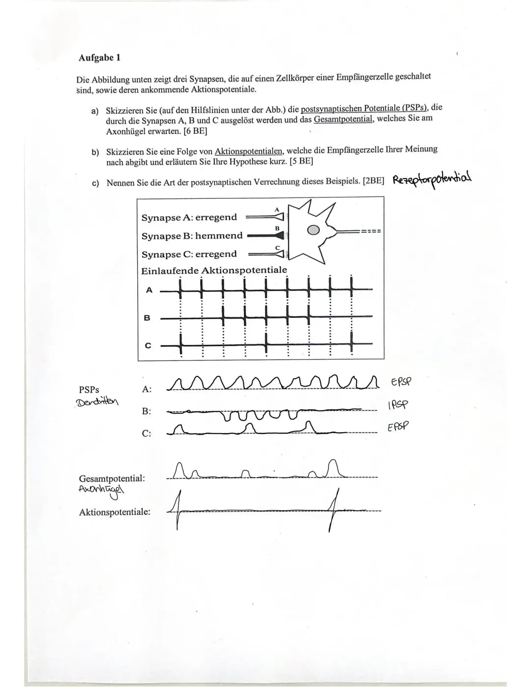 Klausur Neurologie 