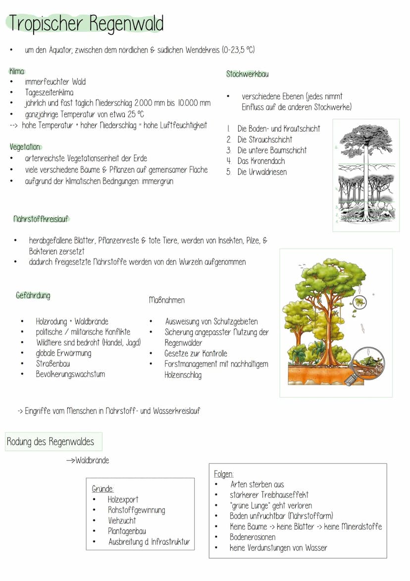Erdkunde
LANDWIRTSCHAFT
буде Inhaltsfeld 3:
Landwirtschaftliche
Strukturen in verschie-
denen Klima- und Vege-
tationszonen
Landwirtschaftli
