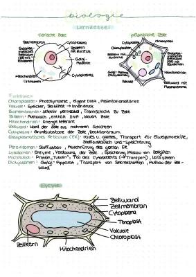 Know Diffusion/Osmose thumbnail