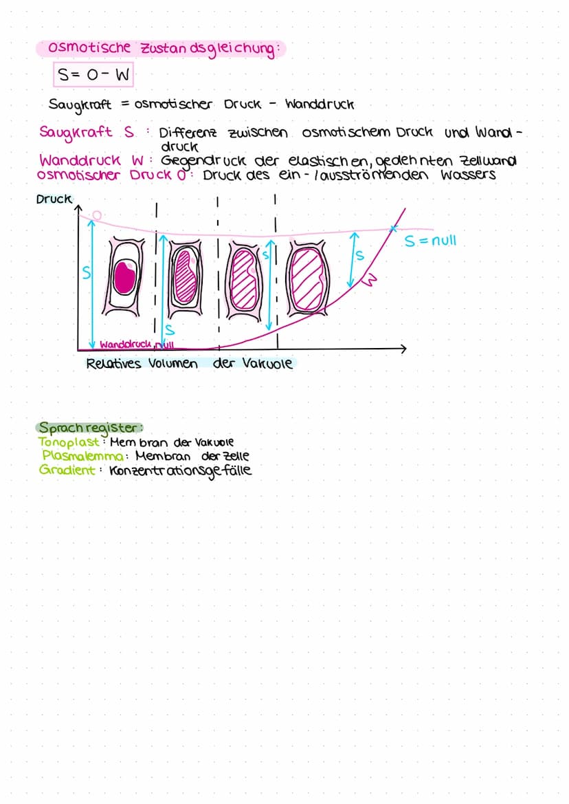 Zellmembran
Endoples-
matisches
Reticulum/
(ER) mit
Ribosomen
Mitochondrien
tierische Zelle
Lysosomen
فيهمه منتخب
:
Lernzettel
Zellkern
Cyto