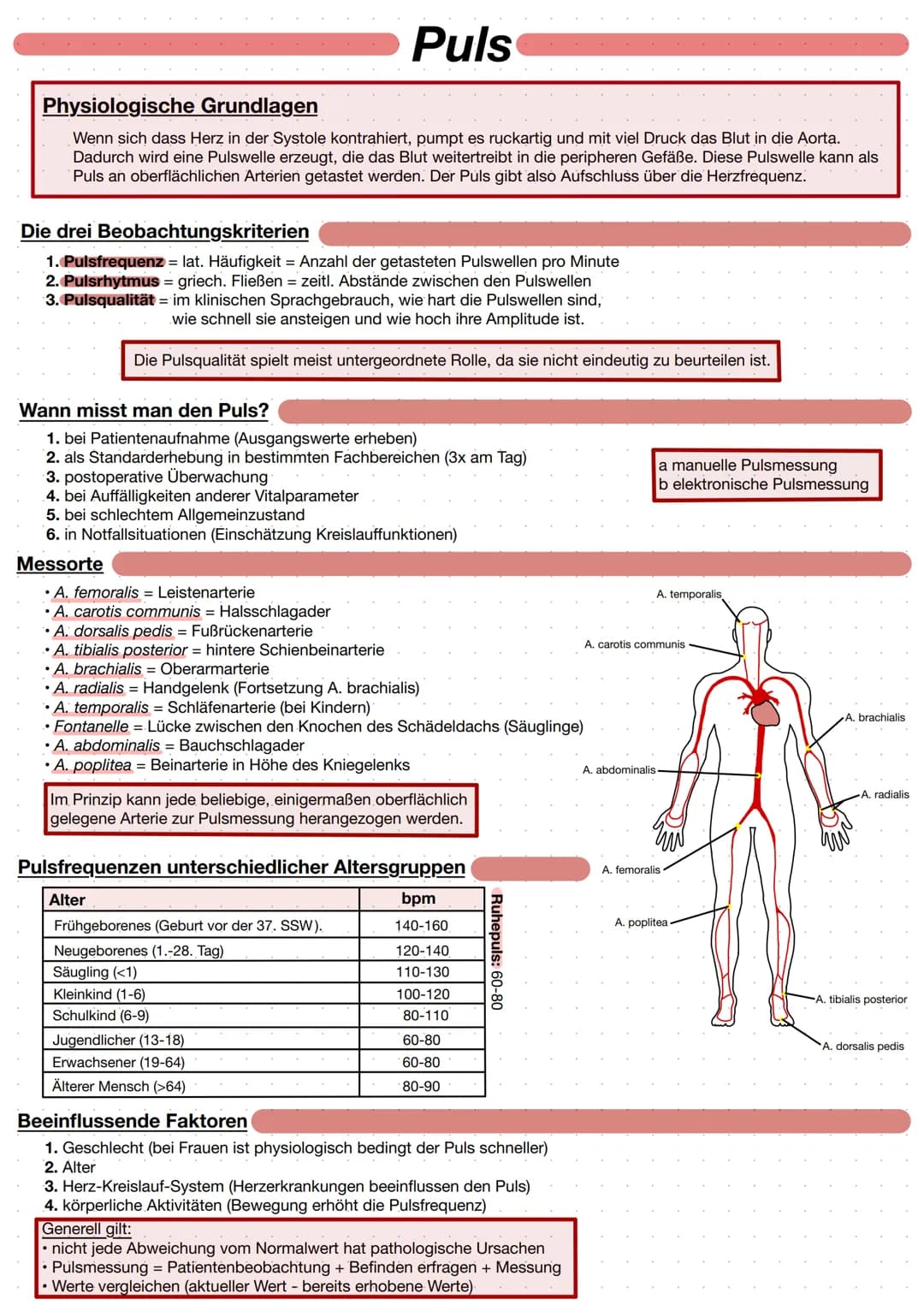 Physiologische Grundlagen
Wenn sich dass Herz in der Systole kontrahiert, pumpt es ruckartig und mit viel Druck das Blut in die Aorta.
Dadur