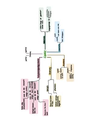 Know Lipide Mindmap  thumbnail