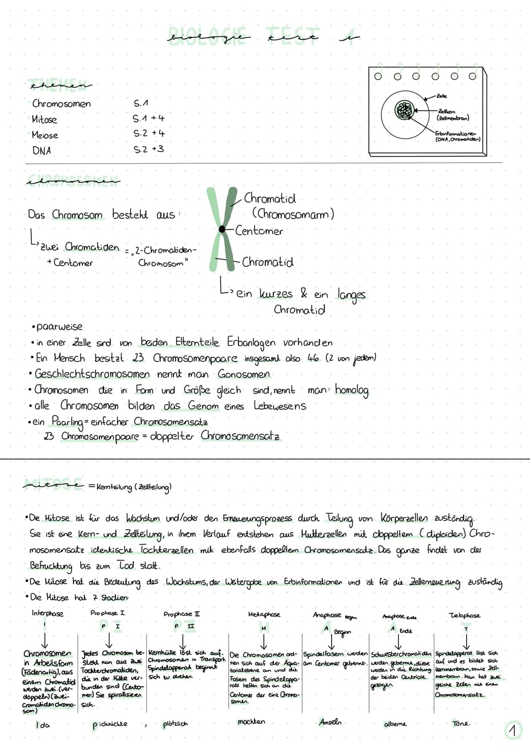 themen
Chromosomen
Mitose
Meiose
DNA
Chronosonen
Das Chromosom besteht aus:
Lizwei
"Zwei Chromatiden
+ Centomer
●
S.A
S.1 +4
S.2 +4
S.2 +3
e