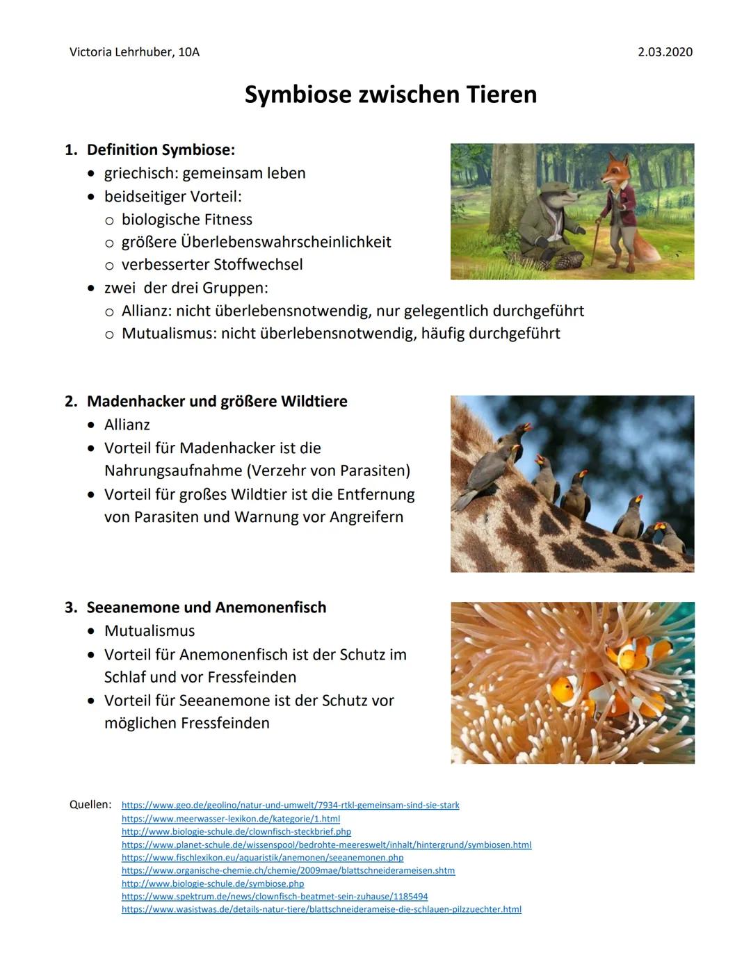 Coole Symbiose Beispiele: Tiere und Pflanzen, die zusammenleben!