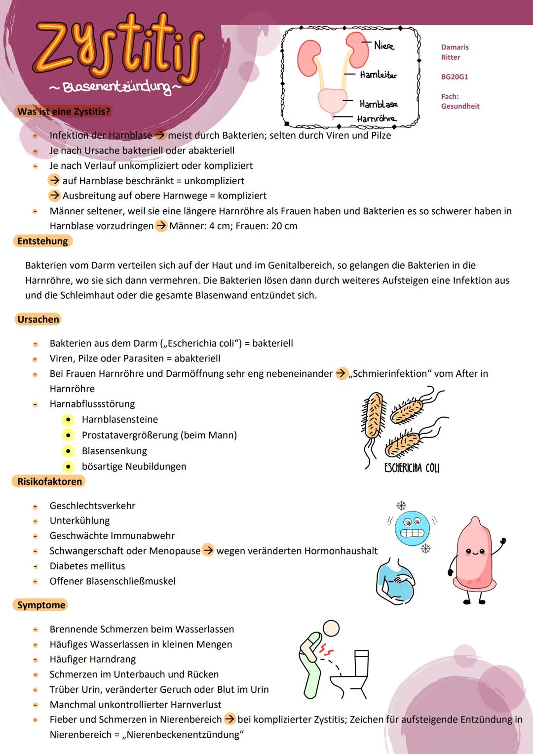 zystitis
~ Blasenentzündung~
Was ist eine Zystitis?
Ursachen
-
-
Bakterien aus dem Darm (,,Escherichia coli") - bakteriell
Viren, Pilze oder