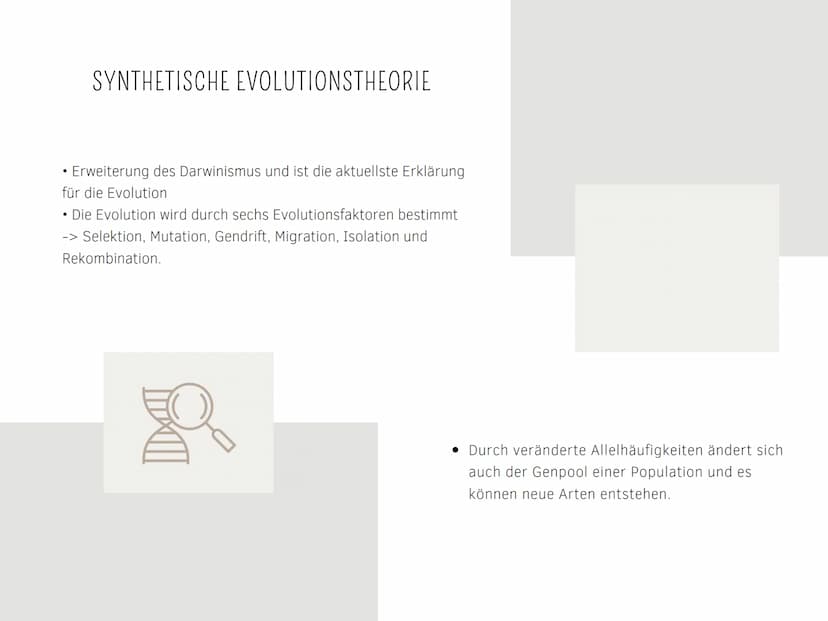 EVOLUTIONSTHEORIEN
Von Kilian und Aleyna BRAINSTORMING
li
BRAINSTORMING
8 GLIEDERUNG
EVOLUTIONSTHEORIEN
Was sind Evolutionstheorien ?
Evolut