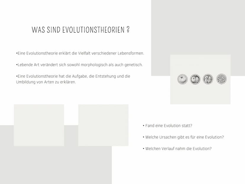 EVOLUTIONSTHEORIEN
Von Kilian und Aleyna BRAINSTORMING
li
BRAINSTORMING
8 GLIEDERUNG
EVOLUTIONSTHEORIEN
Was sind Evolutionstheorien ?
Evolut