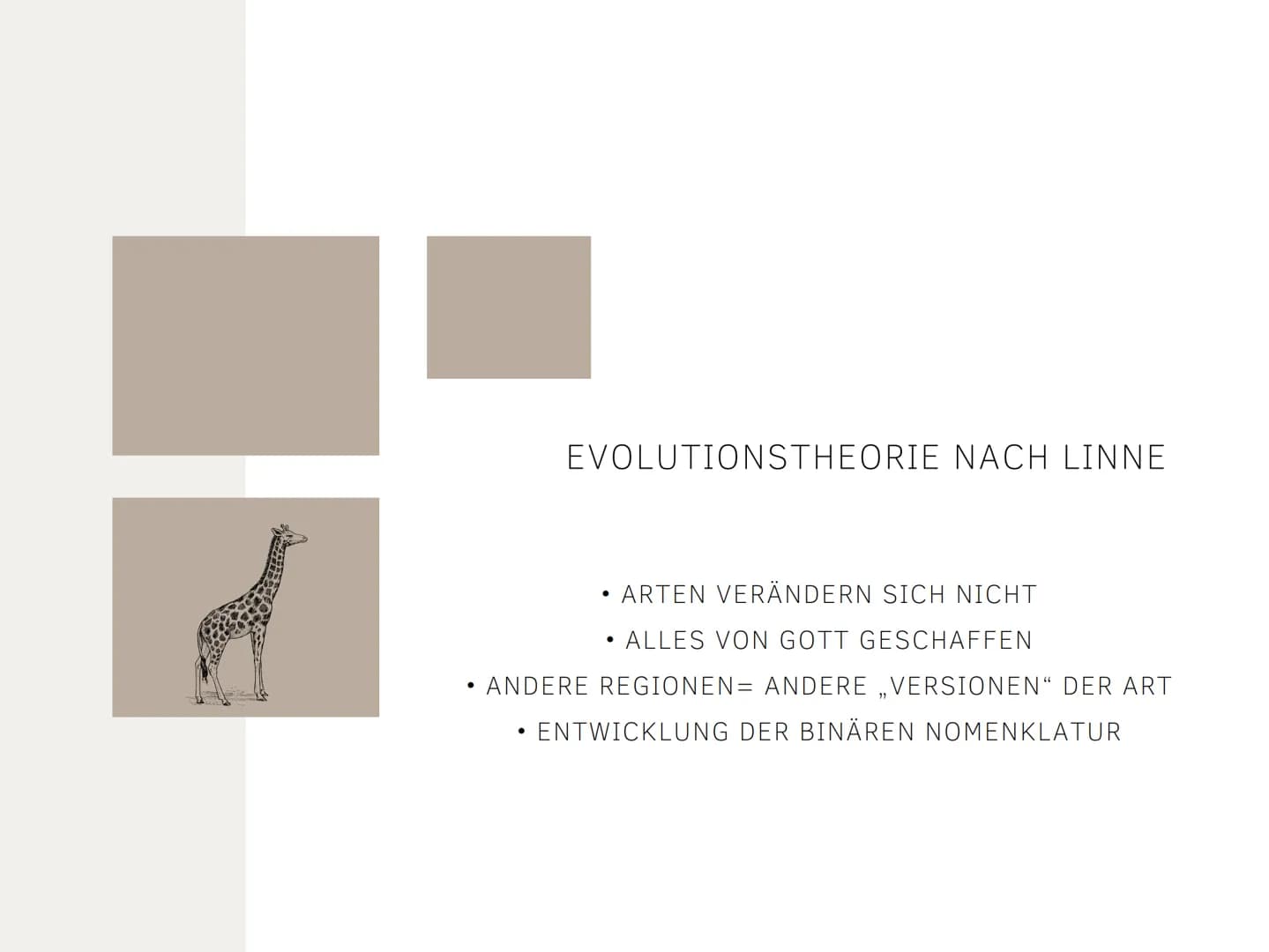 EVOLUTIONSTHEORIEN
Von Kilian und Aleyna BRAINSTORMING
li
BRAINSTORMING
8 GLIEDERUNG
EVOLUTIONSTHEORIEN
Was sind Evolutionstheorien ?
Evolut