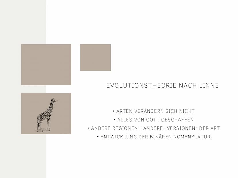 EVOLUTIONSTHEORIEN
Von Kilian und Aleyna BRAINSTORMING
li
BRAINSTORMING
8 GLIEDERUNG
EVOLUTIONSTHEORIEN
Was sind Evolutionstheorien ?
Evolut