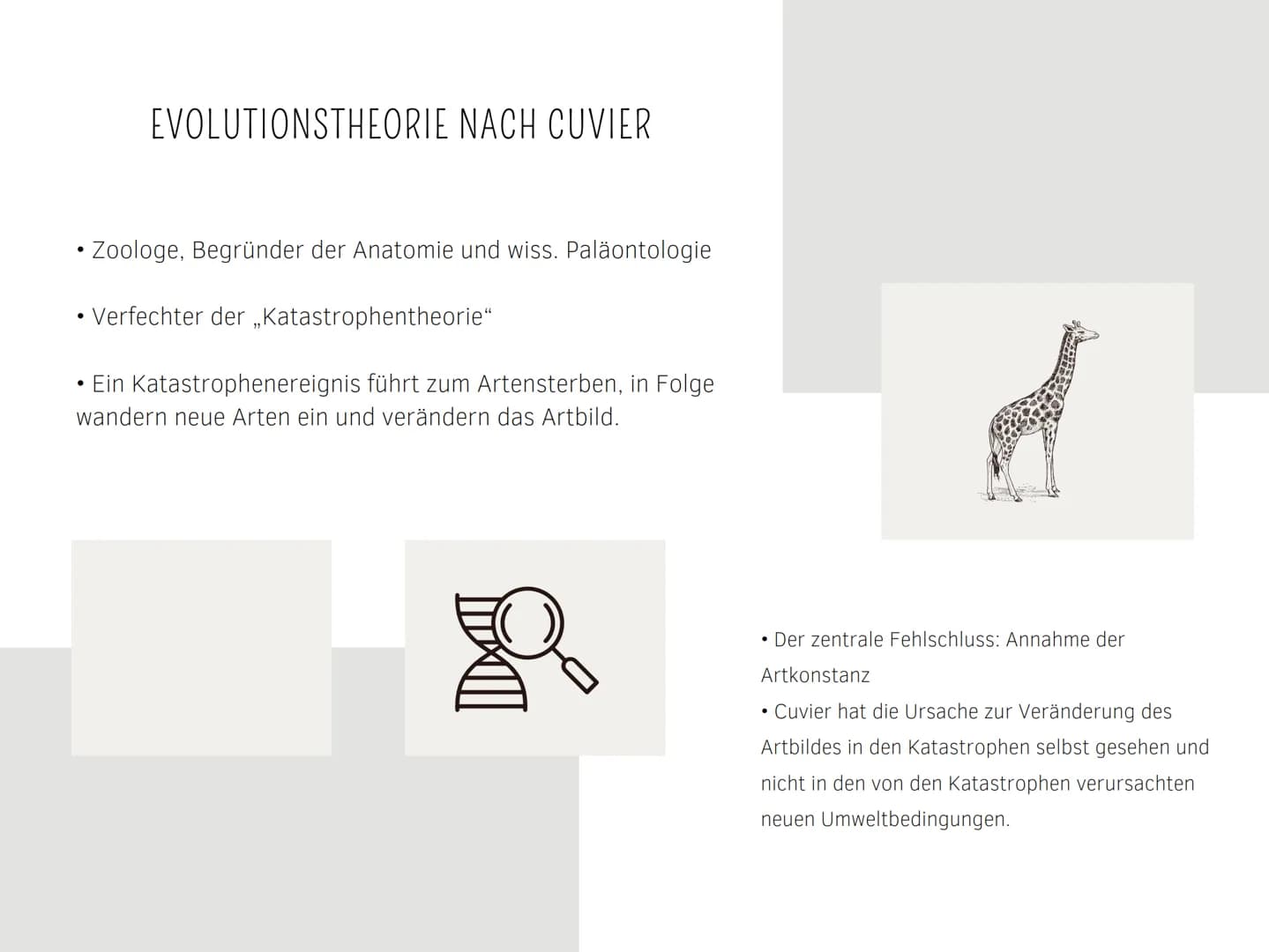 EVOLUTIONSTHEORIEN
Von Kilian und Aleyna BRAINSTORMING
li
BRAINSTORMING
8 GLIEDERUNG
EVOLUTIONSTHEORIEN
Was sind Evolutionstheorien ?
Evolut