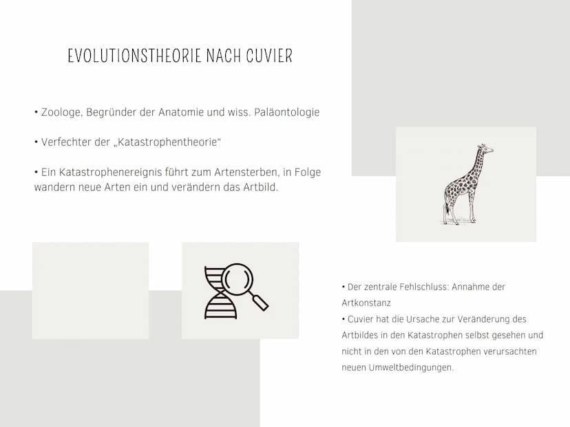 EVOLUTIONSTHEORIEN
Von Kilian und Aleyna BRAINSTORMING
li
BRAINSTORMING
8 GLIEDERUNG
EVOLUTIONSTHEORIEN
Was sind Evolutionstheorien ?
Evolut