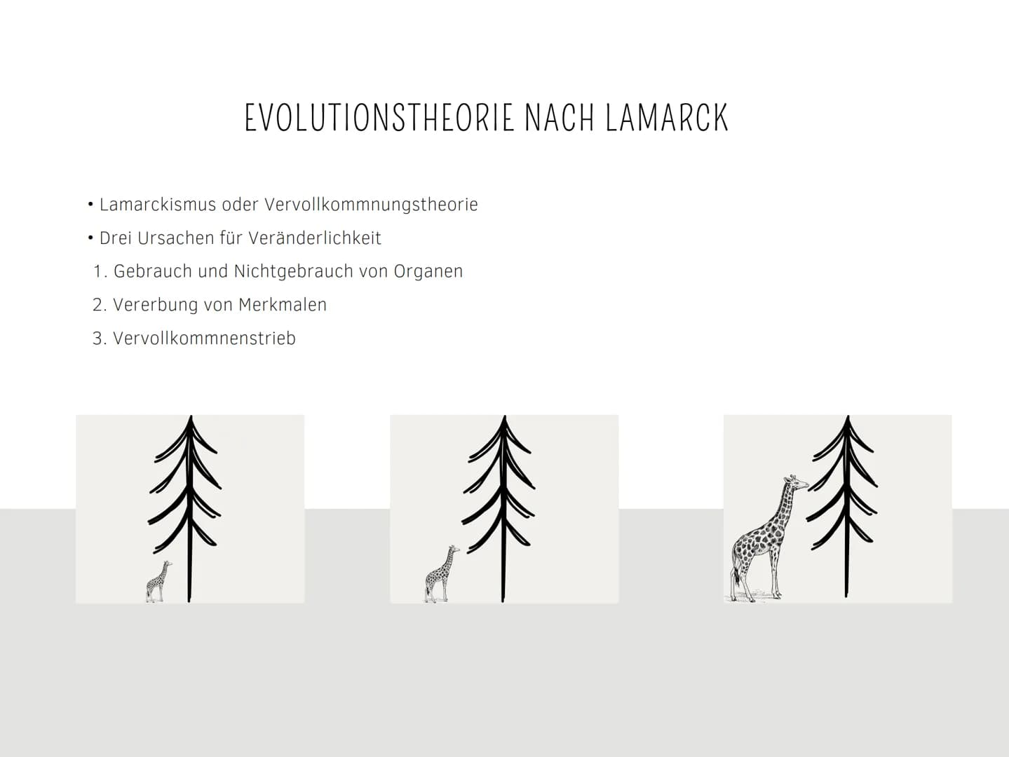 EVOLUTIONSTHEORIEN
Von Kilian und Aleyna BRAINSTORMING
li
BRAINSTORMING
8 GLIEDERUNG
EVOLUTIONSTHEORIEN
Was sind Evolutionstheorien ?
Evolut