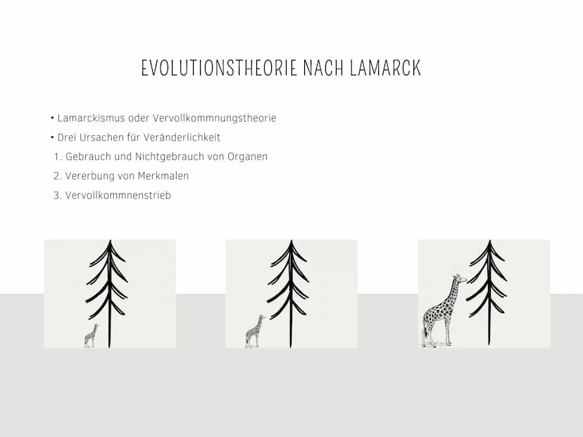 EVOLUTIONSTHEORIEN
Von Kilian und Aleyna BRAINSTORMING
li
BRAINSTORMING
8 GLIEDERUNG
EVOLUTIONSTHEORIEN
Was sind Evolutionstheorien ?
Evolut