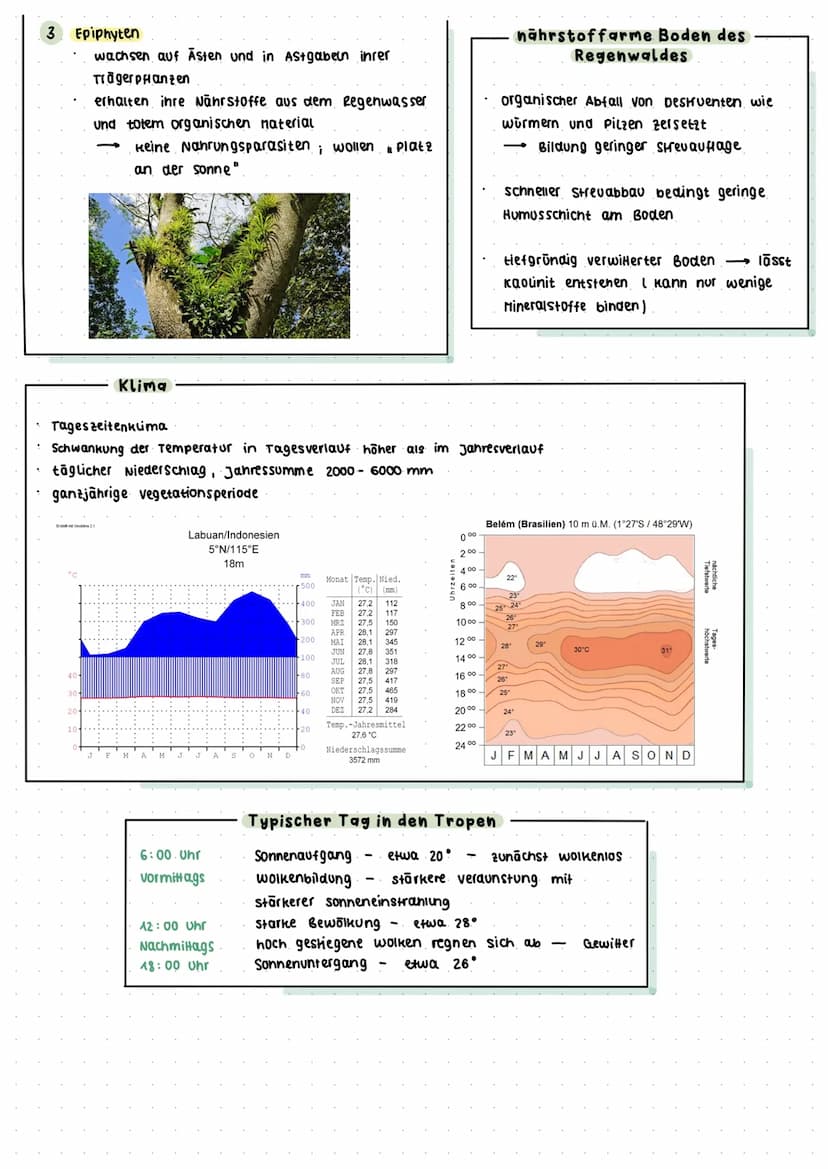GEO KOLLOQUIUM: TROPEN
1. DIE INNEREN TROPEN LAGE: Zwischen 10⁰ nördlicher I südlicher Breite entang a. Aquators
v. a Amazonasgebiet, Kongob