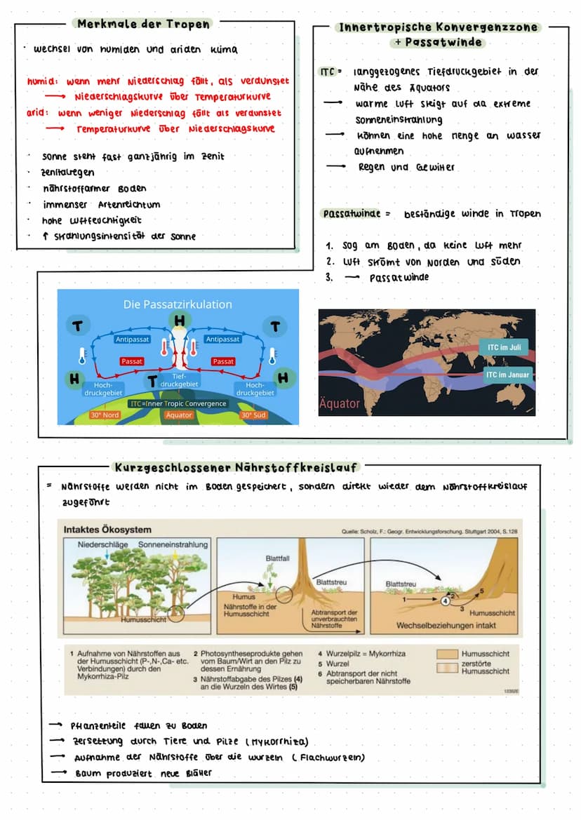 GEO KOLLOQUIUM: TROPEN
1. DIE INNEREN TROPEN LAGE: Zwischen 10⁰ nördlicher I südlicher Breite entang a. Aquators
v. a Amazonasgebiet, Kongob