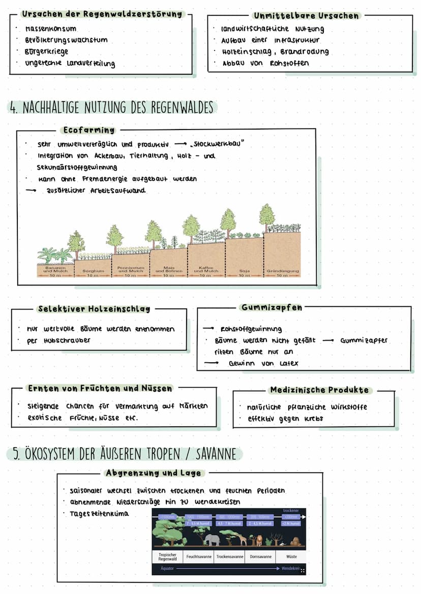 GEO KOLLOQUIUM: TROPEN
1. DIE INNEREN TROPEN LAGE: Zwischen 10⁰ nördlicher I südlicher Breite entang a. Aquators
v. a Amazonasgebiet, Kongob